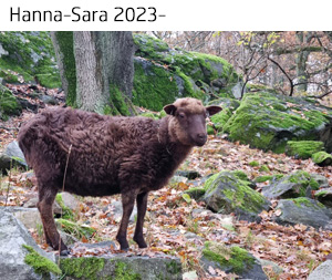 Hanna-Sara 2024.jpg